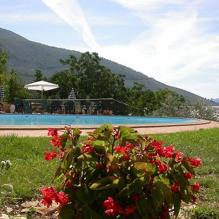 Agriturismo I Mandorli Τρέβι Εξωτερικό φωτογραφία