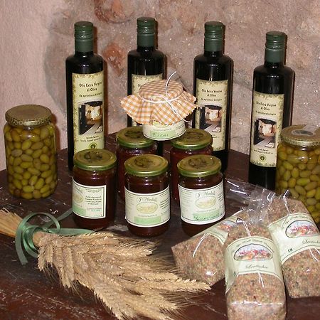 Agriturismo I Mandorli Τρέβι Εξωτερικό φωτογραφία