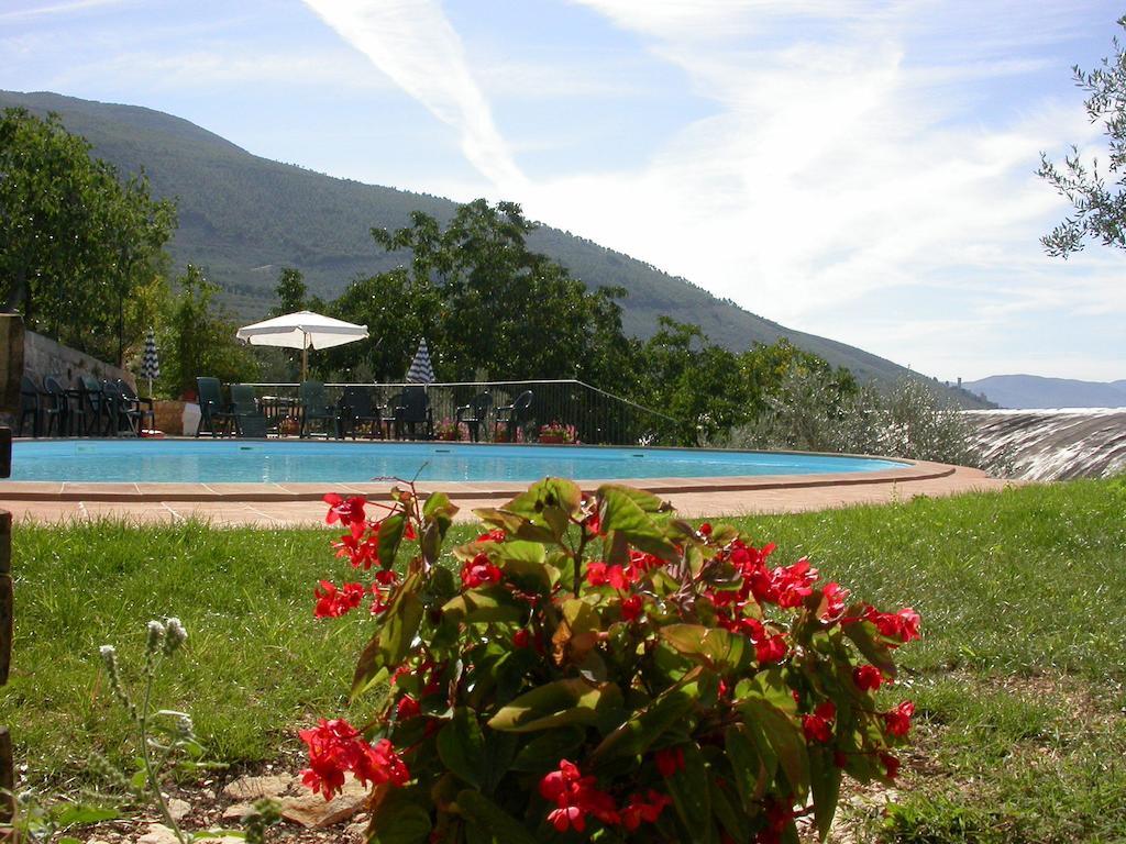 Agriturismo I Mandorli Τρέβι Εξωτερικό φωτογραφία