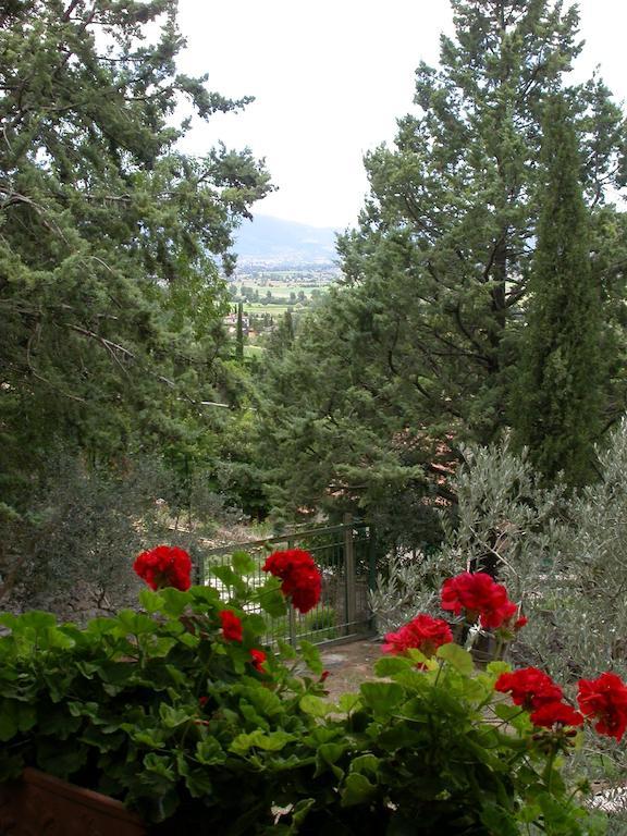 Agriturismo I Mandorli Τρέβι Εξωτερικό φωτογραφία