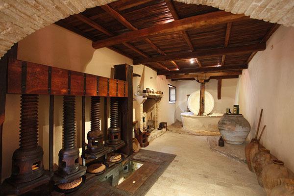Agriturismo I Mandorli Τρέβι Εξωτερικό φωτογραφία